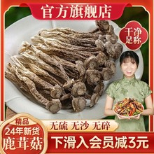 珊初物鹿茸菇干货鹿茸不野生脆脆菇干煲汤500g蘑菇云南子