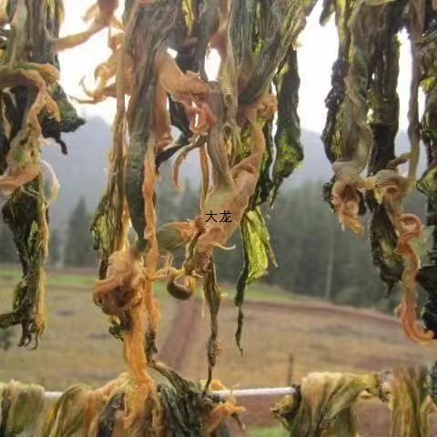 四川盐菜达州干咸菜老坛儿菜整颗榨菜梅干菜盐菜青菜腌制商用