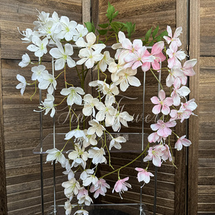 ���滨�������zӰ���߼ٻ��Ҿ�ܛ�b�쾰�b����溣�Ļ�����