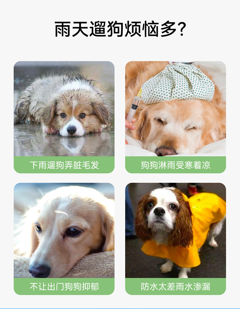 1ede5f31-7cf3-43db-8569-a47b5e0c5c35.jpe