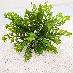 シミュレーション植物百茉葉シダ葉室内結婚祝いの布景装飾地に小さな緑の植柄を敷いて、束草を配材します。