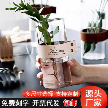 创意皮革手提玻璃花瓶北欧简约透明干花器水培植物微景观装饰摆件