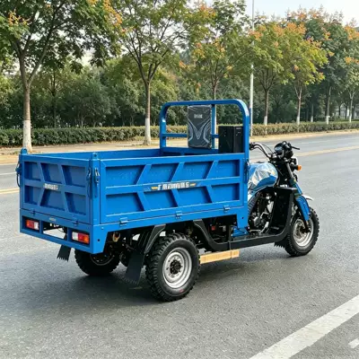 Popular Overseas Fuel-Powered Three-Wheeled Passenger Sərnişin üçtəkərli motosikllar