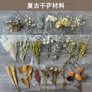 [retro dry flower material] short branch true plant specimen photo frame diy floral art handmade hydrangea european leaf