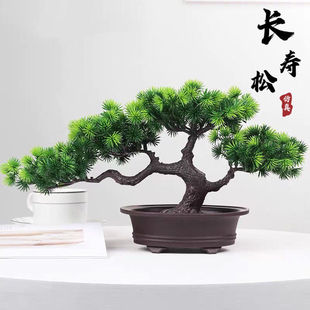 ����ӭ���ɼٻ����Լ��ɰ������辰�ɘ��҃ȾGɫֲ���b�����[��