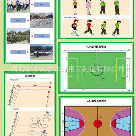 中小学体育与健康教学挂图 音体美教学用挂图