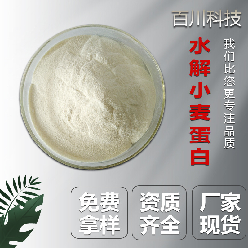 支持检测水解小麦蛋白小麦蛋白粉水溶透亮化妆品级颜色白百川原料