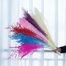 ҾbƯDIYˇ}QY˲ݸɻM