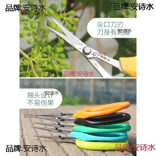 ���Q�N�^�����޹����ü������ϡ���������ɹ��߹����������Ӳ�ժ