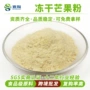 冻干烘焙精选冰淇淋芒果粉