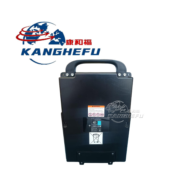 11674241011锂电池4