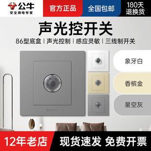 Bull 86 Type Sound and Light Control Switch Corridor Home Smart Automatic Delayed Stair Sound Control Sensor Light Switch Panel