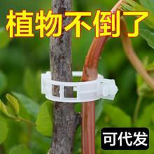 �@ˇֲ��̶��A���t���޽ӊA�����A����֦�������ϻ��������̶��A