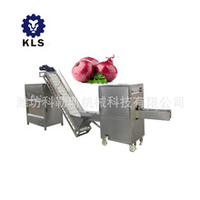 KLS 洋葱深加工设备 洋葱扒皮切根一体机 定制洋葱脱皮机