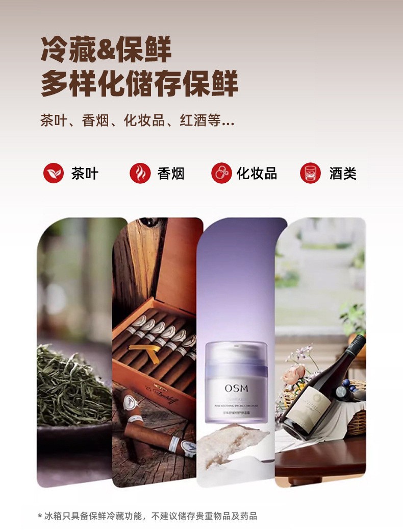 Car Beauty Mini Refrigerator Car Home Dual-use Refrigerator with Light and Mirror Multi-functional Mini Incubator