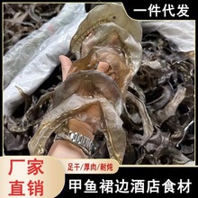 足干55头甲鱼裙边水鱼边裙龟边海味干货佛跳墙酒店食材一德路批发
