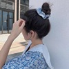 Brand hair accessory, ponytail, hair rope, internet celebrity, simple and elegant design