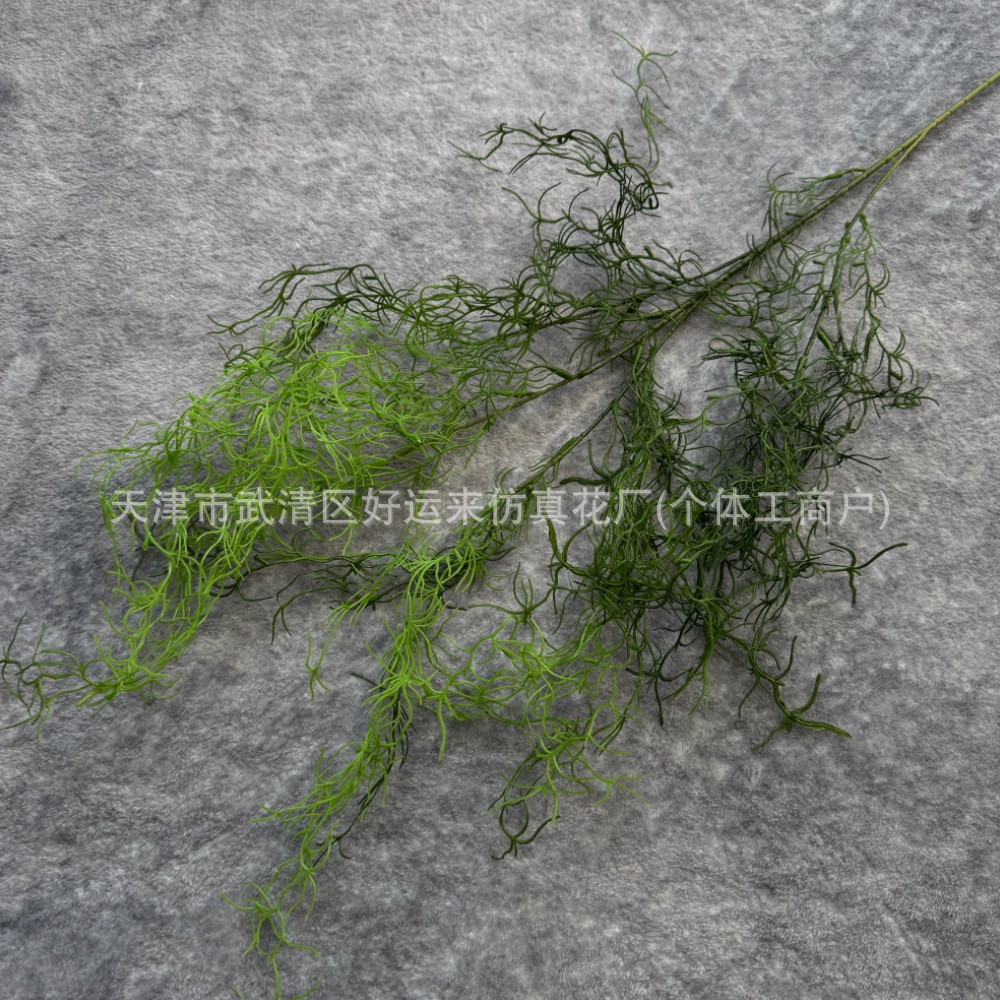 노인은 두 배의 녹색을 가져야 합니다