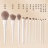 Yunci 12 sets of brush opp set