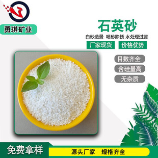 �S�ҹ���80-120ĿʯӢɰ ��ɫ�����ɳ�Ӄ�ͯ�ʘ���ɰ �V��ʯӢɰ