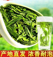 新茶 浓香茶叶龙井茶 绿茶 春茶雨前龙井 散装茶农500g