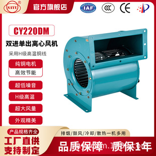 ��ƷCY220DM�p�M�L���{�L�C������450W�߿ղ�ů�L�C220V�����L�C
