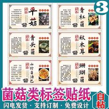 ճĤ㹽ľǾzNy`֥p녶ט˺