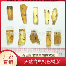天然迷你含动物昆虫柯巴树脂仿琥珀教学儿童节柯巴脂原石化石标本
