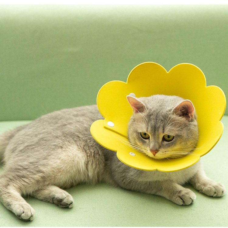 新款上市太阳花伊丽莎白 毛毡猫脖套术后耻辱圈 防舔咬可调节项圈