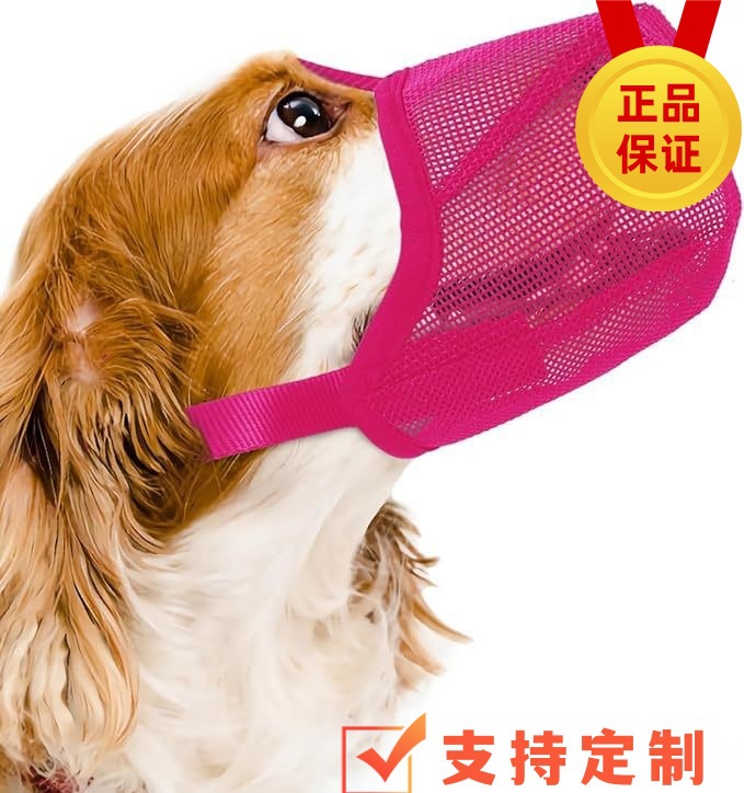 O1CN01JkxyUQ1L9kklpPMLS_!!2216