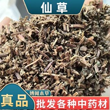 �ɲݸɲ� �ڛ��۲ݼ@��֭ �ɲ݃����˲ݷ����߸����ɲ��в�ș���l