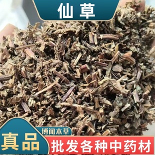 �ɲݸɲ� �ڛ��۲ݼ@��֭ �ɲ݃����˲ݷ����߸����ɲ��в�ș���l