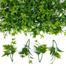 ����ֲ������ˮ����� ����С�� ���滨ˮ�ݰ����b����l�G�}�b�