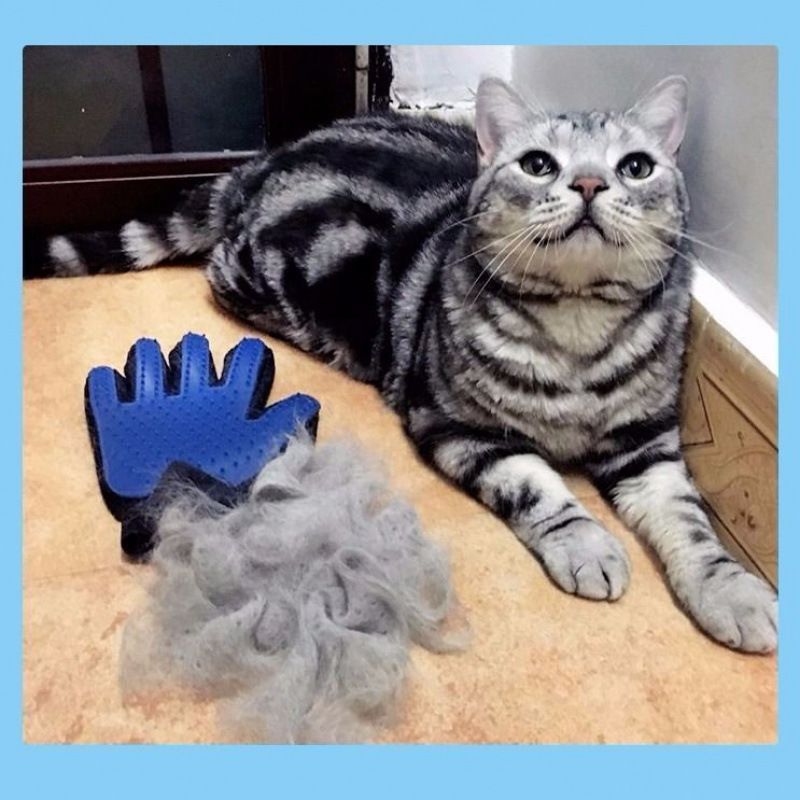 クロスボーダー猫用手袋、ペット猫用品、グルーミング、クリーニング、マッサージ、猫用手袋、犬の毛取りシリコン、ペット用品|undefined