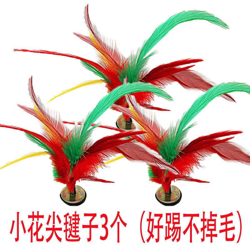 Colorido gato de gallina, adultos, niños, colorido gato de gallina, estudiantes de primaria y secundaria, gran fábrica de flores, comercio de ganso al por mayor