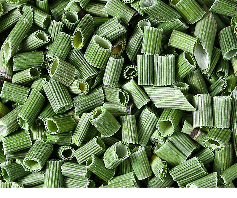 Dried Horsetail Herb Mu Zei 500g Wild Harvested Traditional Chinese Botanical for Decoction and Tea preparation