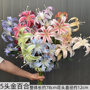 ���滨5�^��ٺϻ�c�ٺϻ���Y��·���廨��ٺϼҾ��b��滨