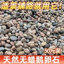 河卵石五彩石头鹅卵石铺地大号黑白原石鱼缸铺路装饰天然鹅软石子