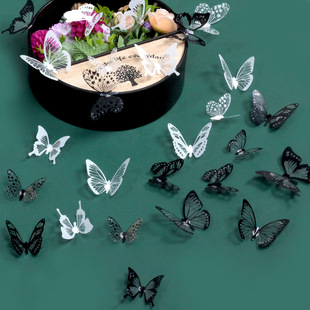 �羳3d���w��������Ҿӹ��c�Ɍ��b����ҙ������N���������߿͏d