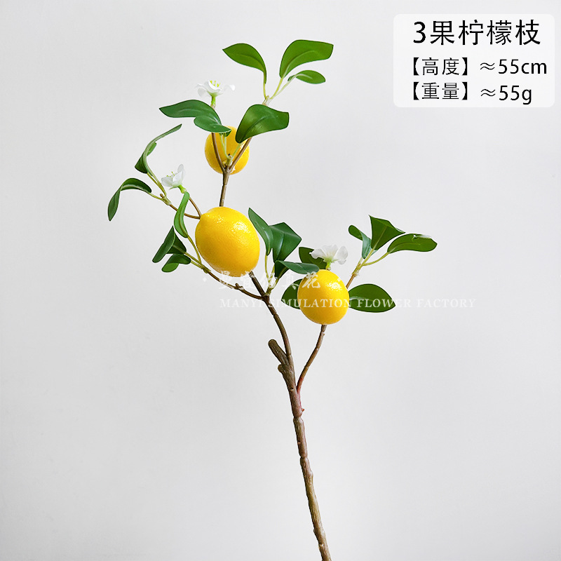 시뮬레이션된 3과일 레몬 가지