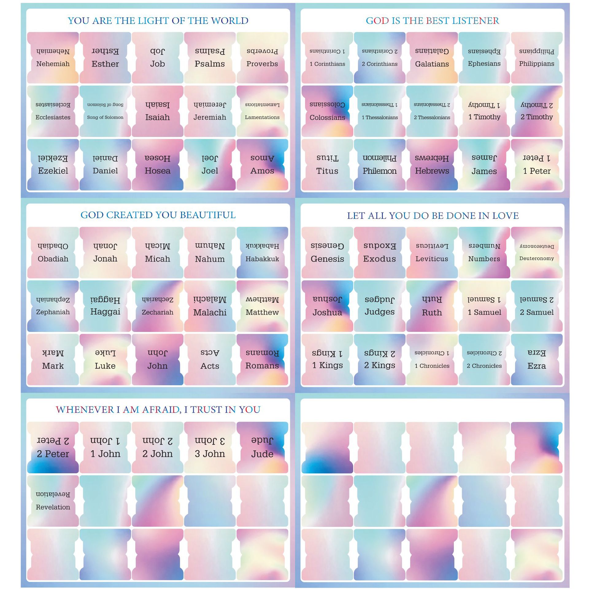 레인보우 스타일 6팩