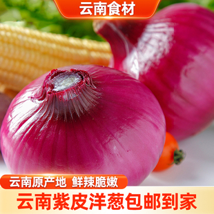 ���r�����ʳ����Ƥ���[�A�[�N���{ζ�r���߲����[���r�߲�