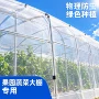 定制聚乙烯大棚防虫网