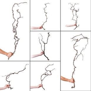 Long jujube branch dry branch dead branch ornament vase flower arrangement material bending main branch creative art zen branch DIY decoration