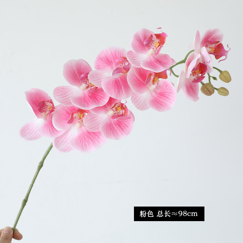 분홍색