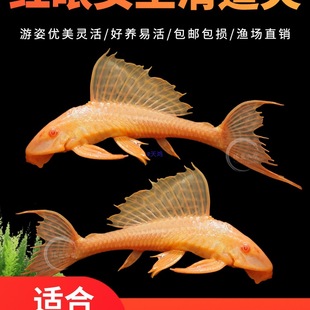 �t��Ů��������~���w�~�Ꭷ��ˮ�^�p�~�坍��������ԼS�㹤���~