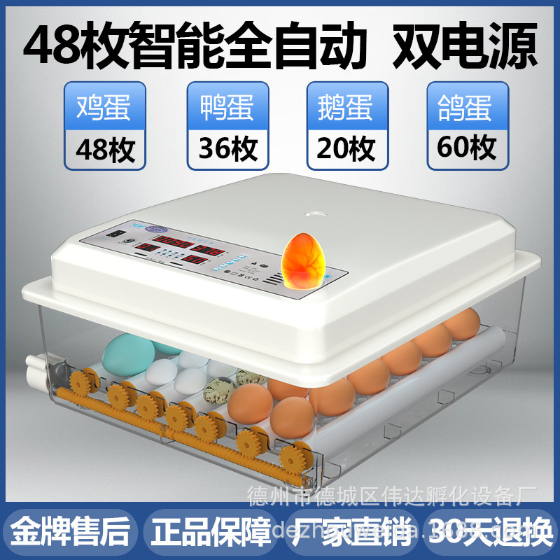 家庭用孵化器ひよこ孵化器小型家庭用孵化機全自動知能鶏鴨ガチョウ鳩孵化機|undefined