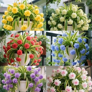 ��߅���m�ذ�󻨾Gֲ�����ļ��_�������҃�������՚��̨�͏d