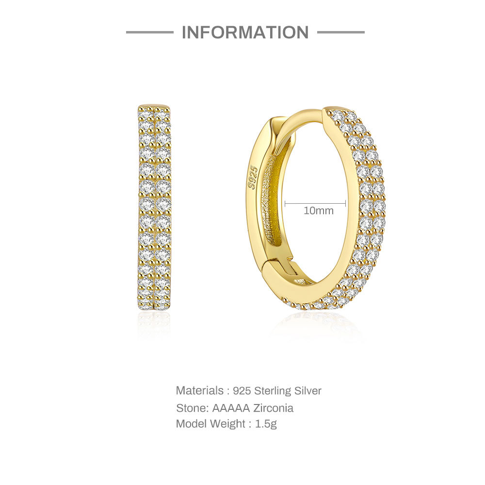 Fashion Round Silver Inlaid Zircon Earrings 1 Pair