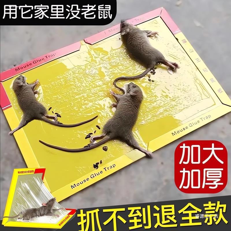 Super Strong Adhesive Mouse Trap Board for Catching Large Mice, Strong Glue Mouse Extermination Tool, Household All-In-One Solution